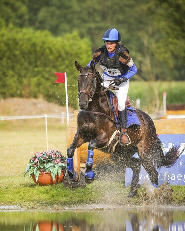 QHP Eventing beenbeschermers Technical achterbenen kobaltblauw