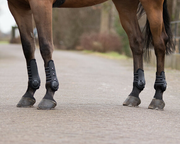 QHP peesbeschermers Champion zwart