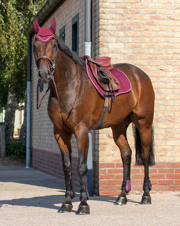 QHP peesbeschermers set maroon