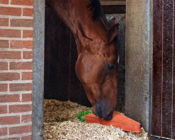 QHP paardenspeelgoed XL