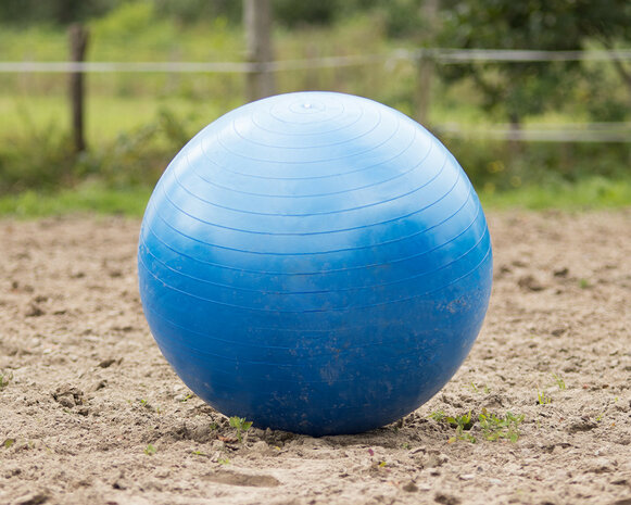 QHP paardenvoetbal blauw