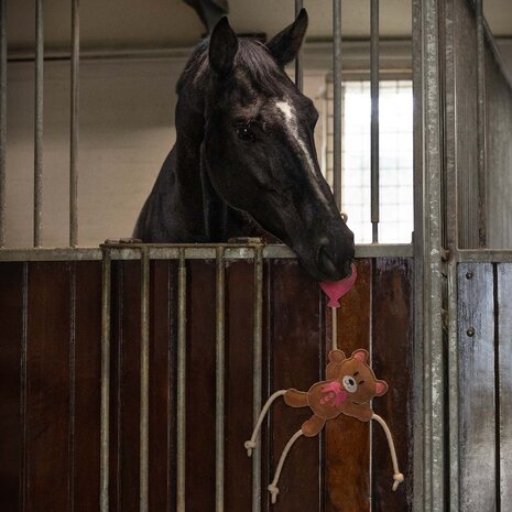 QHP paardenspeelgoed Valentine bruin