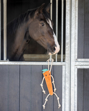 QHP paardenspeelgoed wortel