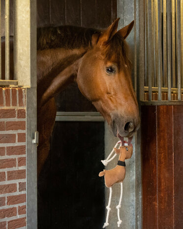 QHP paardenspeelgoed rudolph